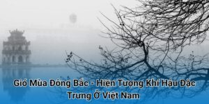 Gió Mùa Đông Bắc - Hiện Tượng Khí Hậu Đặc Trưng Ở Việt Nam 2025