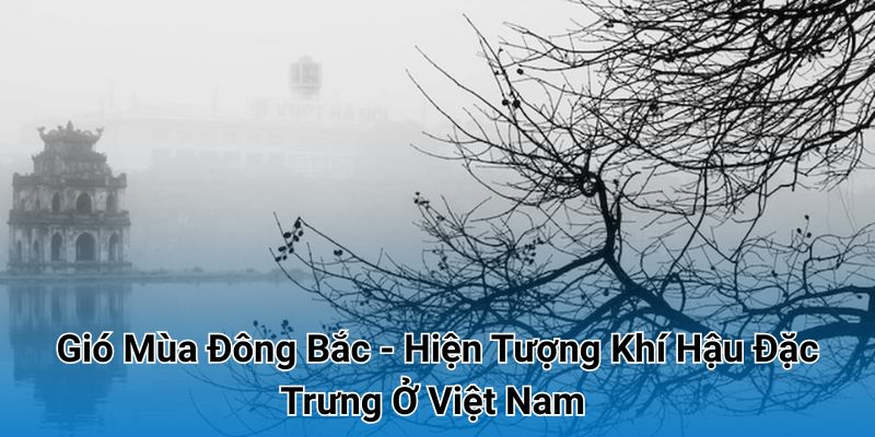 Gió Mùa Đông Bắc - Hiện Tượng Khí Hậu Đặc Trưng Ở Việt Nam 2025